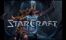 Starcraft_ii_zerg_1_