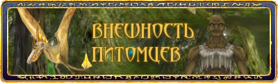 Runes of Magic - Внешность питомца!